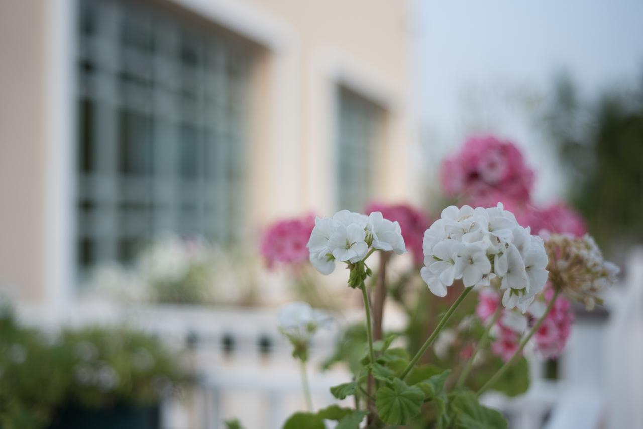 Doitung View Resort Ban Dong Ma Tun Εξωτερικό φωτογραφία